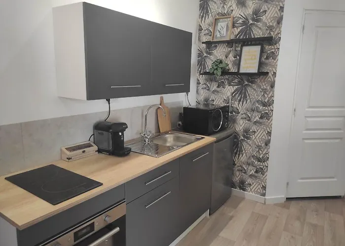 Semesterbostad Logis De L'olivier Asnières-sur-Nouère