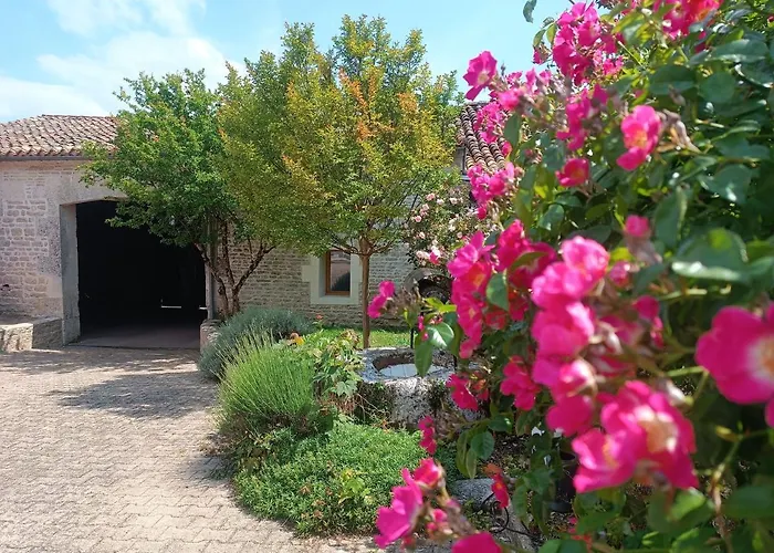 Logis De L'olivier Semesterbostad Asnières-sur-Nouère